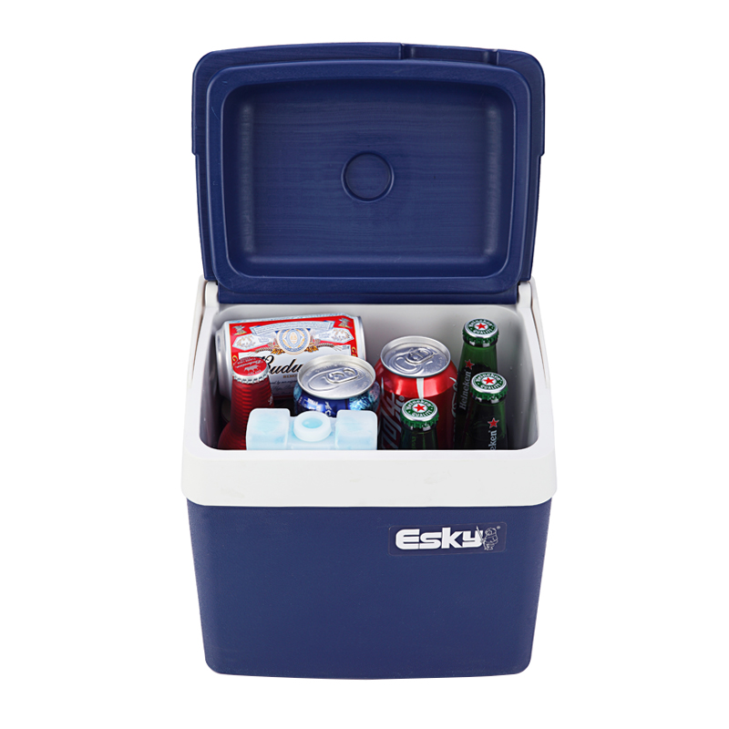 Esky® 10L Classic (Box of 2) Rodman Plastics Company Ltd.